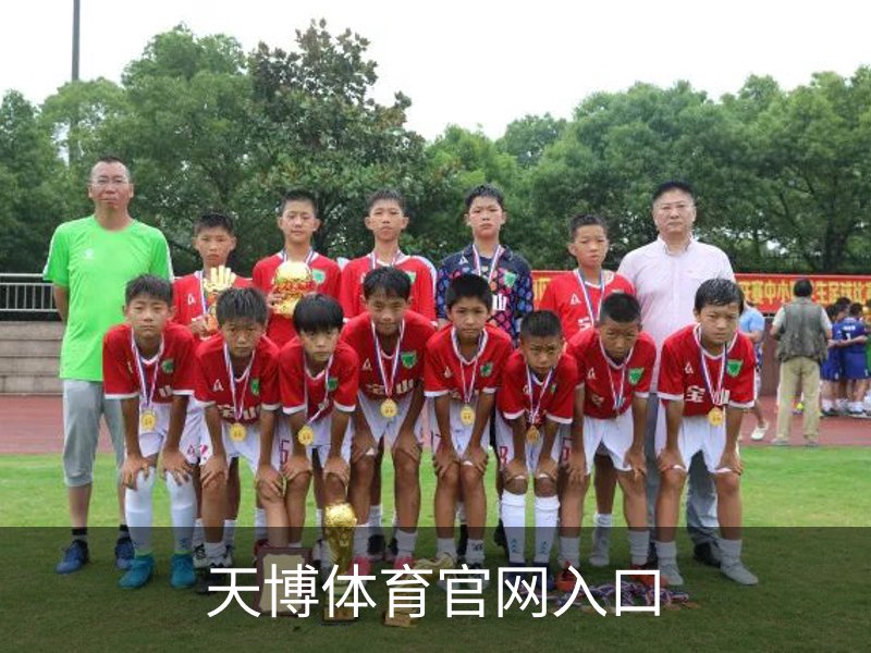 了解天博体育官网入口